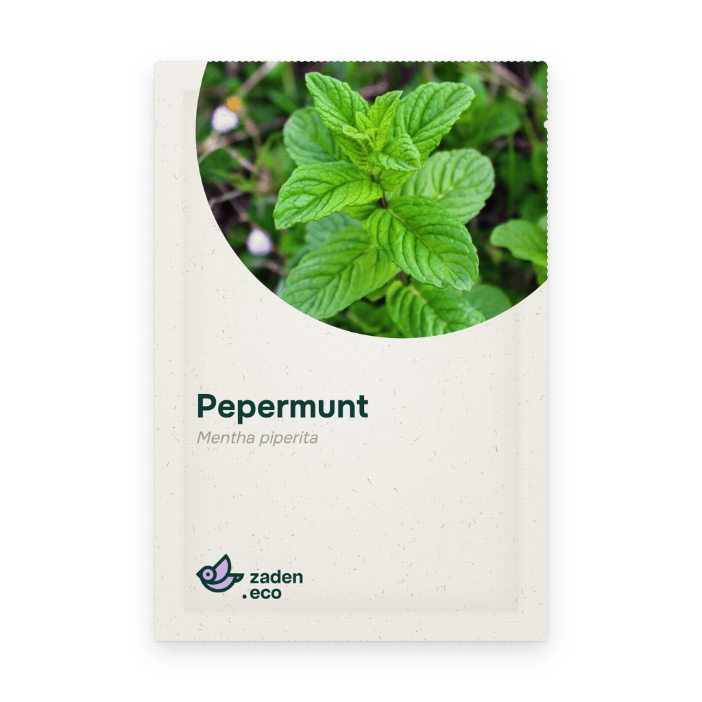 Zakje Pepermunt