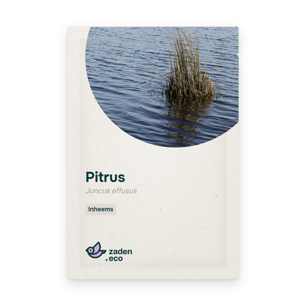 Zakje Pitrus