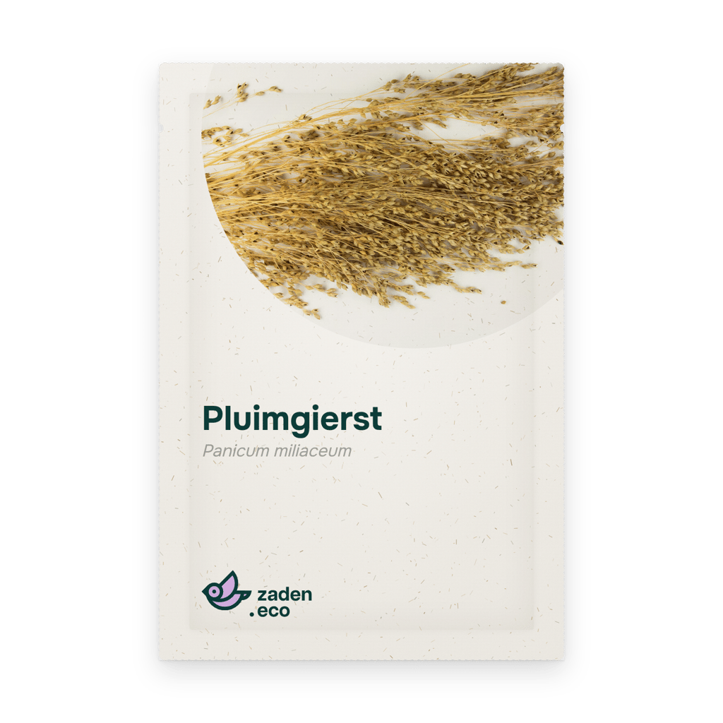 Zakje Pluimgierst
