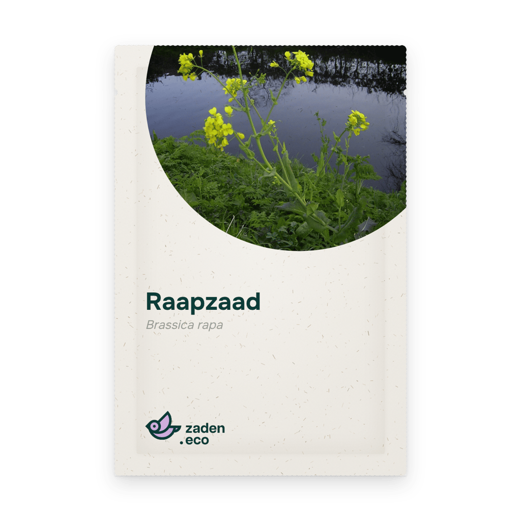Zakje Raapzaad