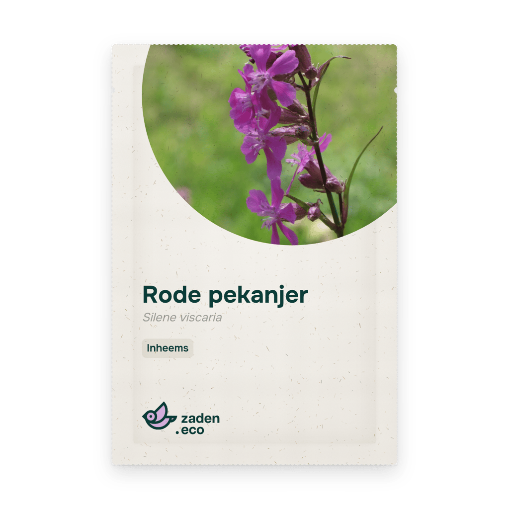Zakje Rode pekanjer