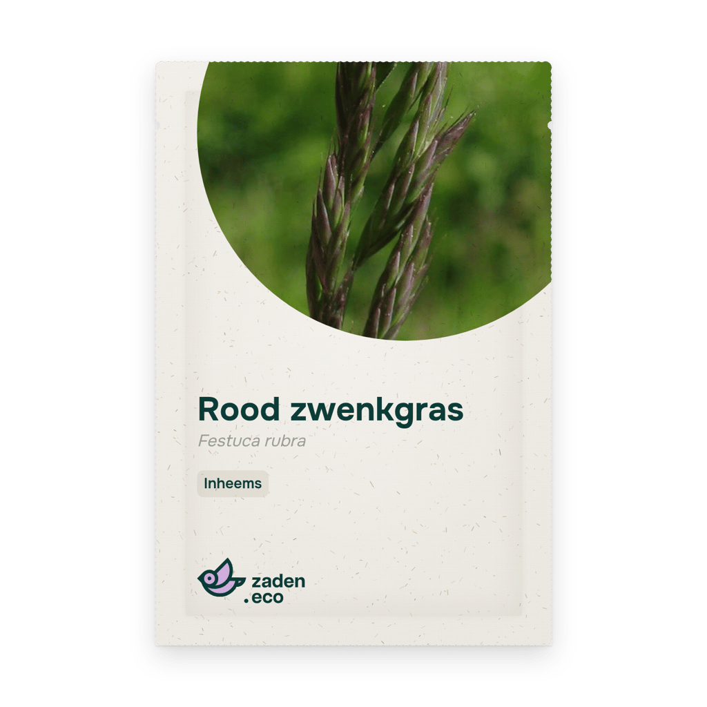 Zakje Rood zwenkgras