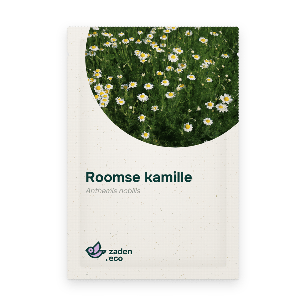 Zakje Roomse kamille