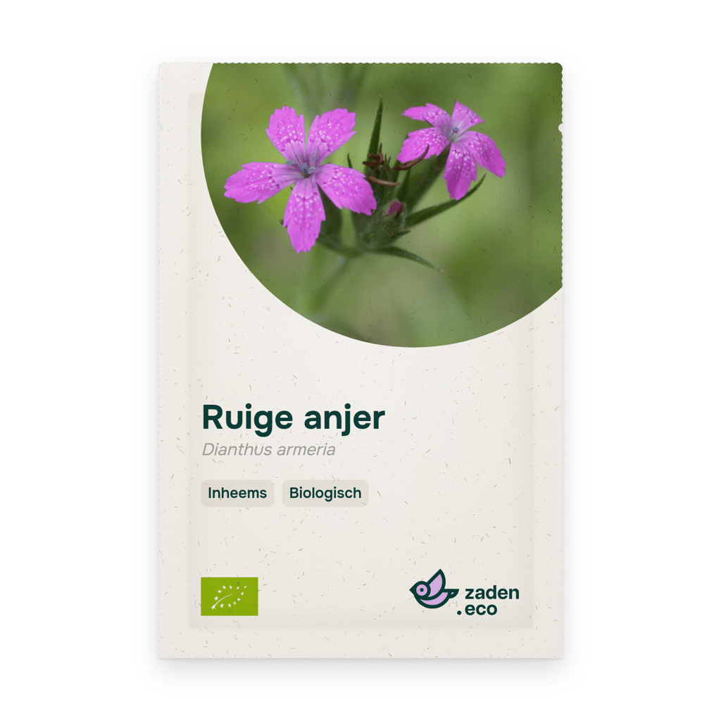 Zakje Ruige anjer BIO