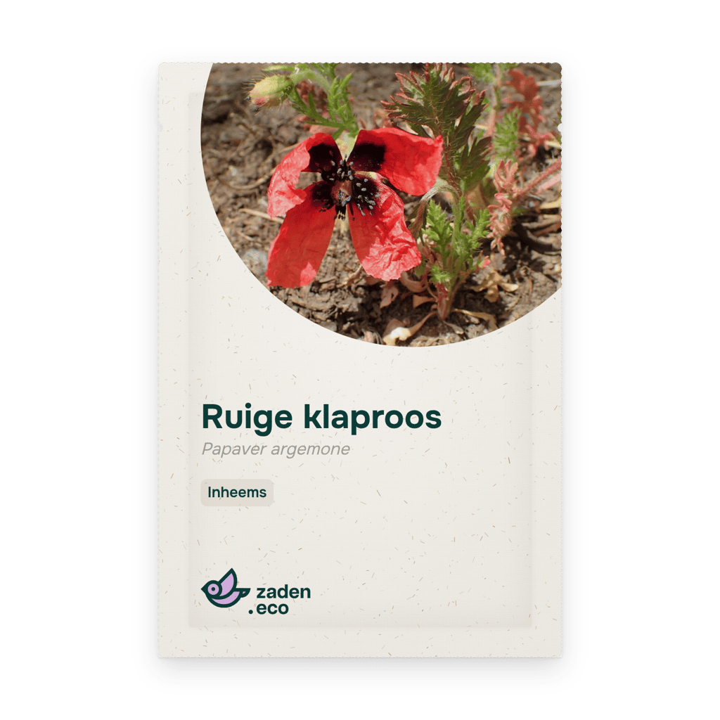 Zakje Ruige klaproos