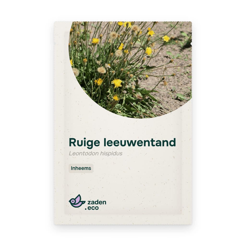 Zakje Ruige leeuwentand