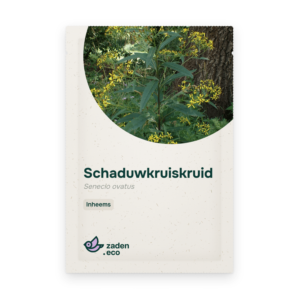 Zakje Schaduwkruiskruid