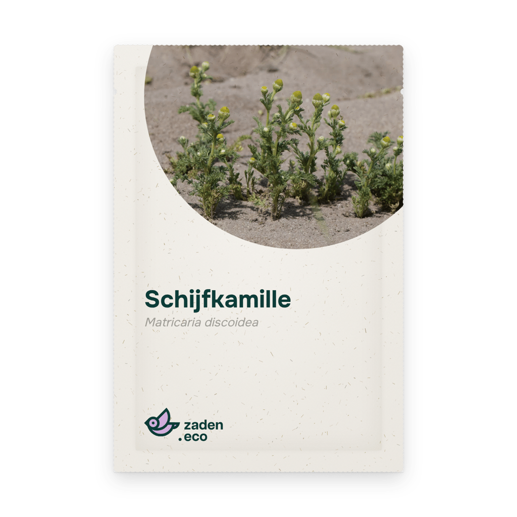 Zakje Schijfkamille