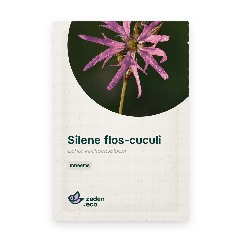 Zakje Silene flos-cuculi
