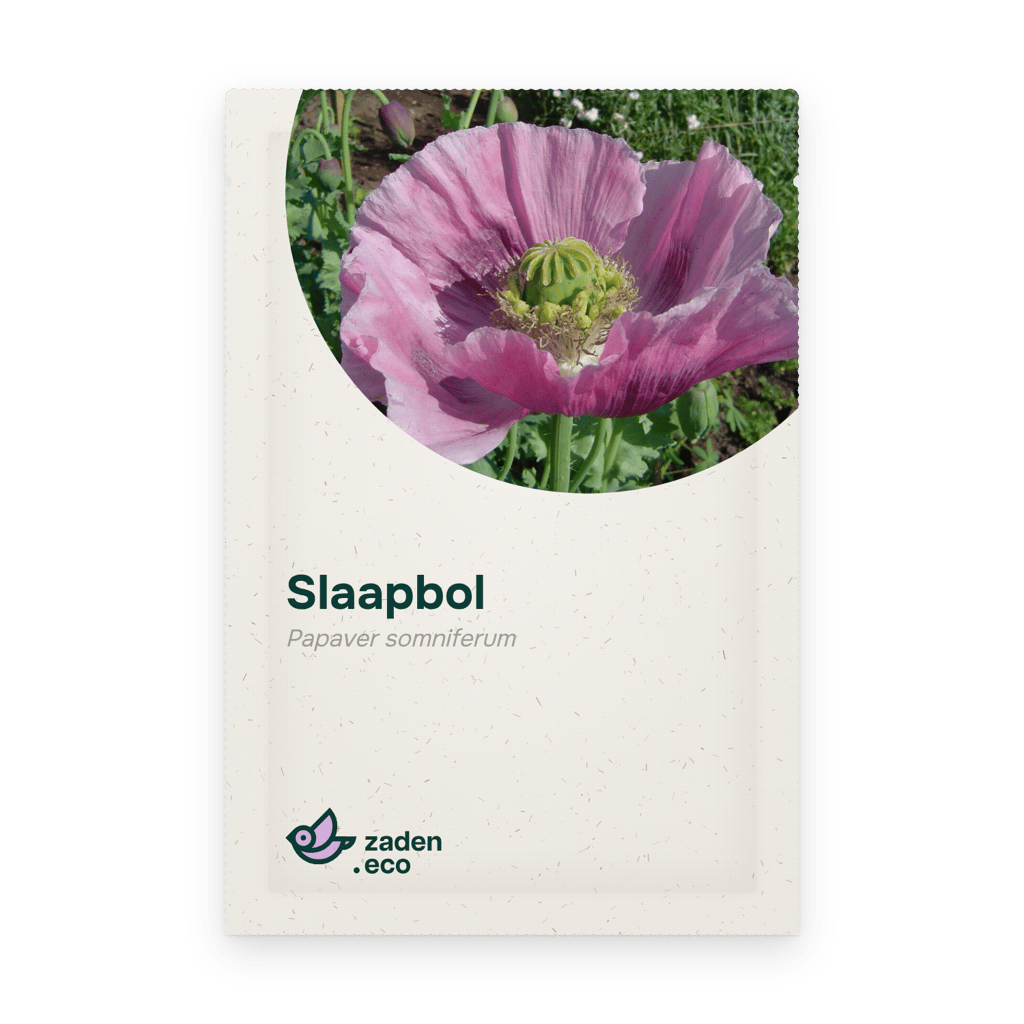 Zakje Slaapbol