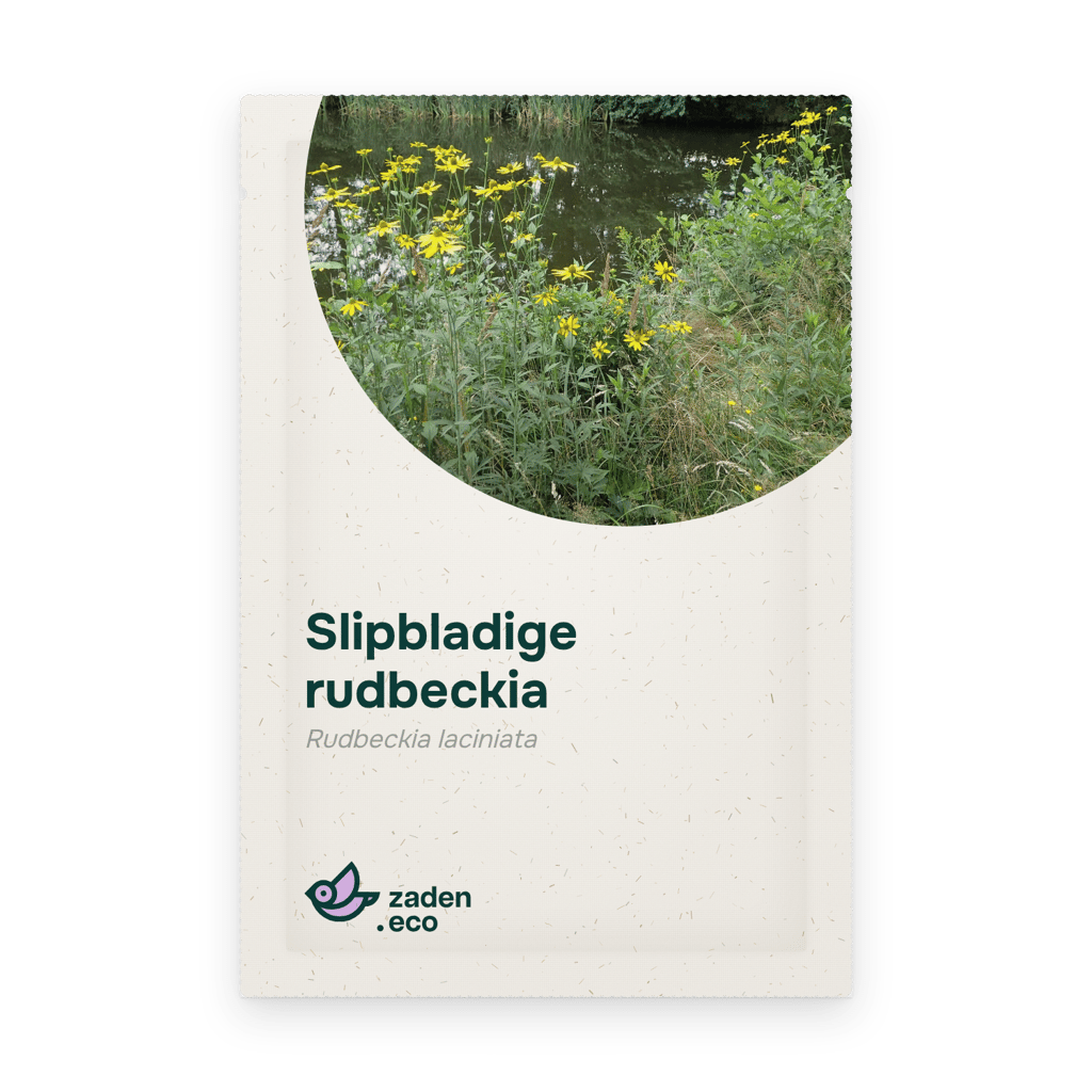 Zakje Slipbladige rudbeckia