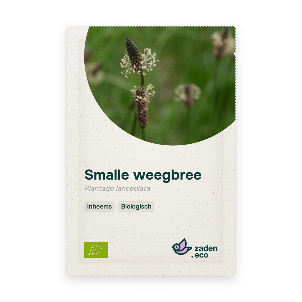 Zakje Smalle weegbree BIO