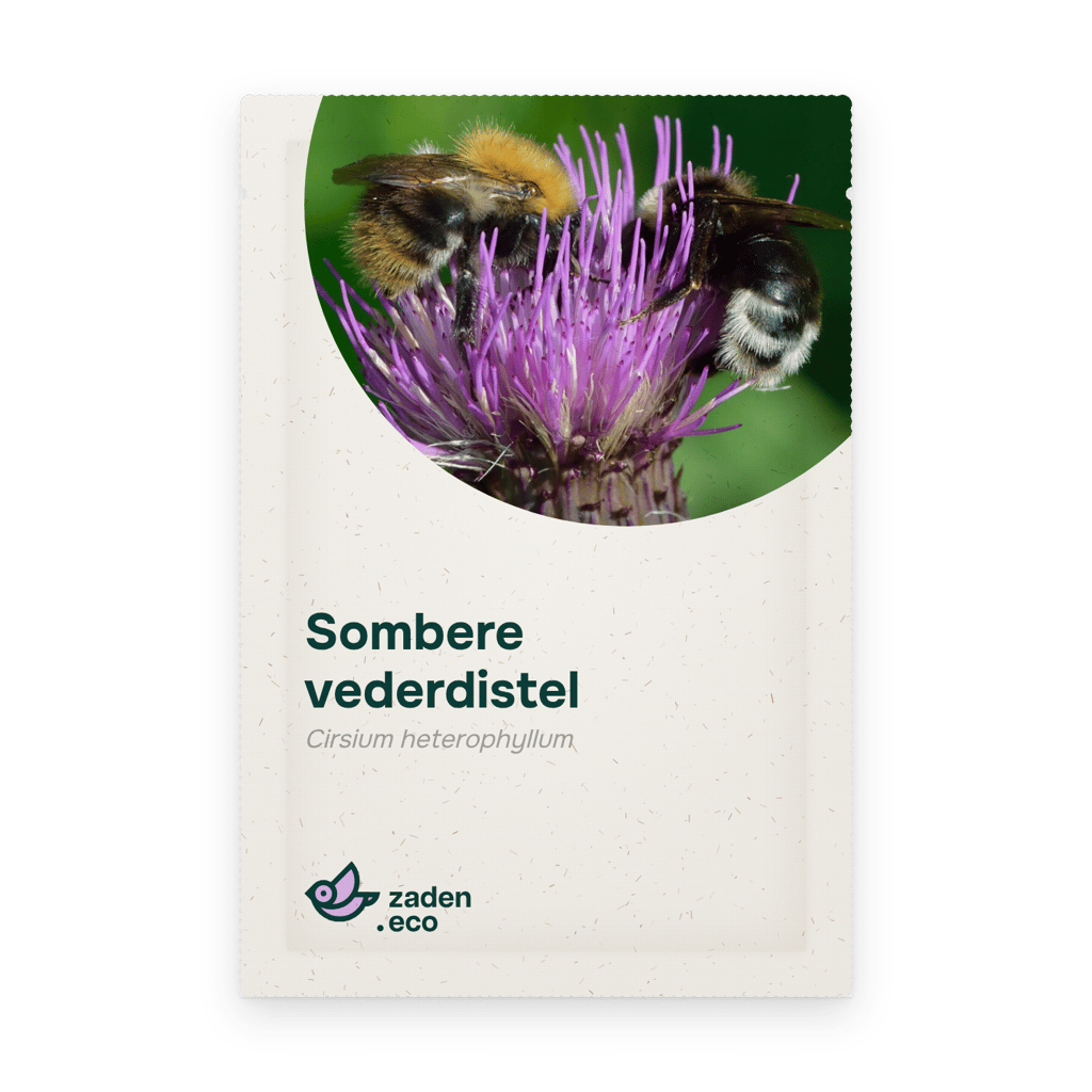 Zakje Sombere vederdistel