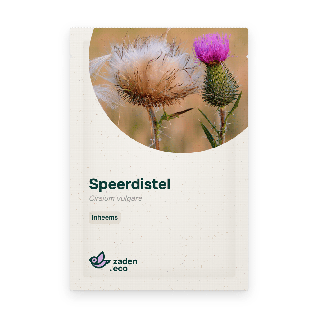 Zakje Speerdistel