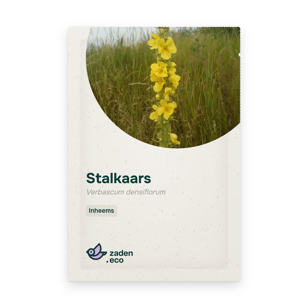 Zakje Stalkaars
