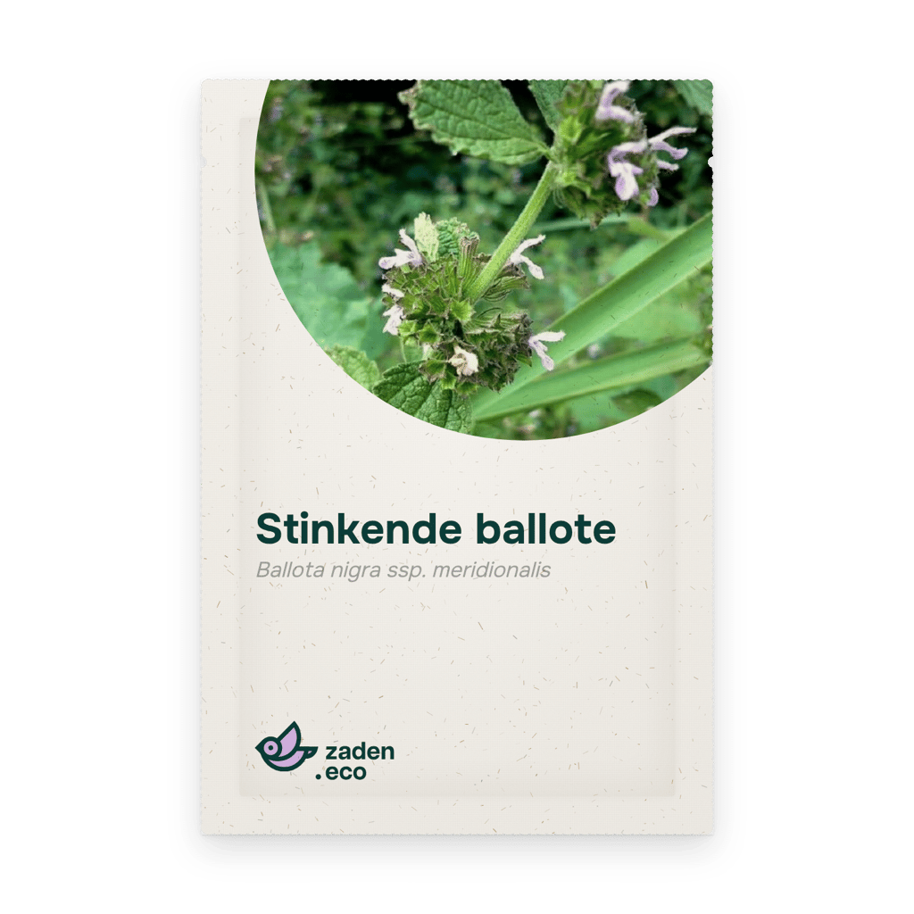 Zakje Stinkende ballote