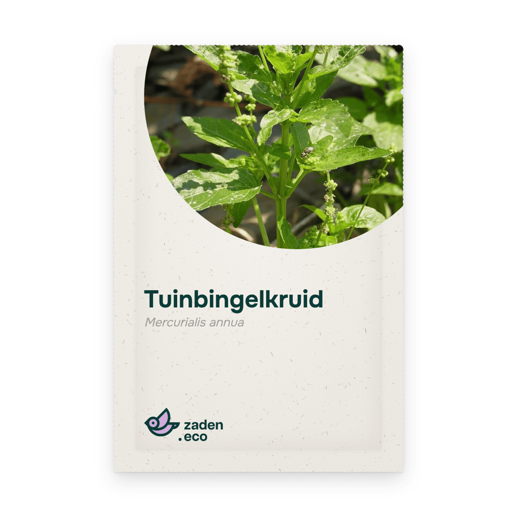 Zakje Tuinbingelkruid