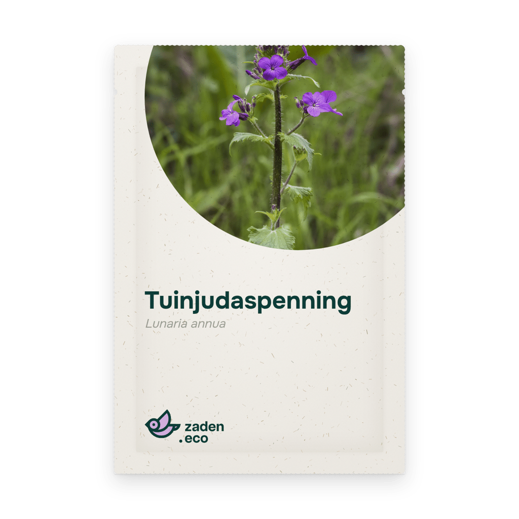 Zakje Tuinjudaspenning