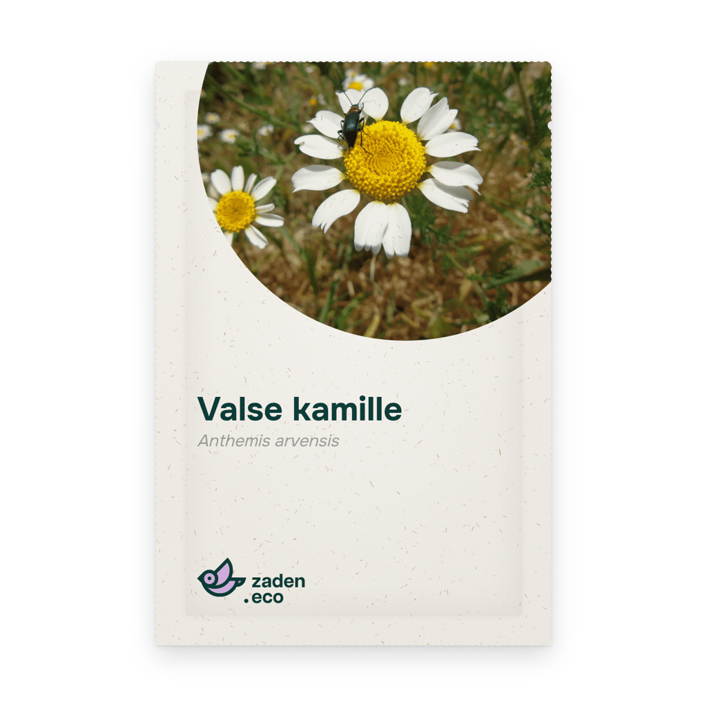 Zakje Valse kamille