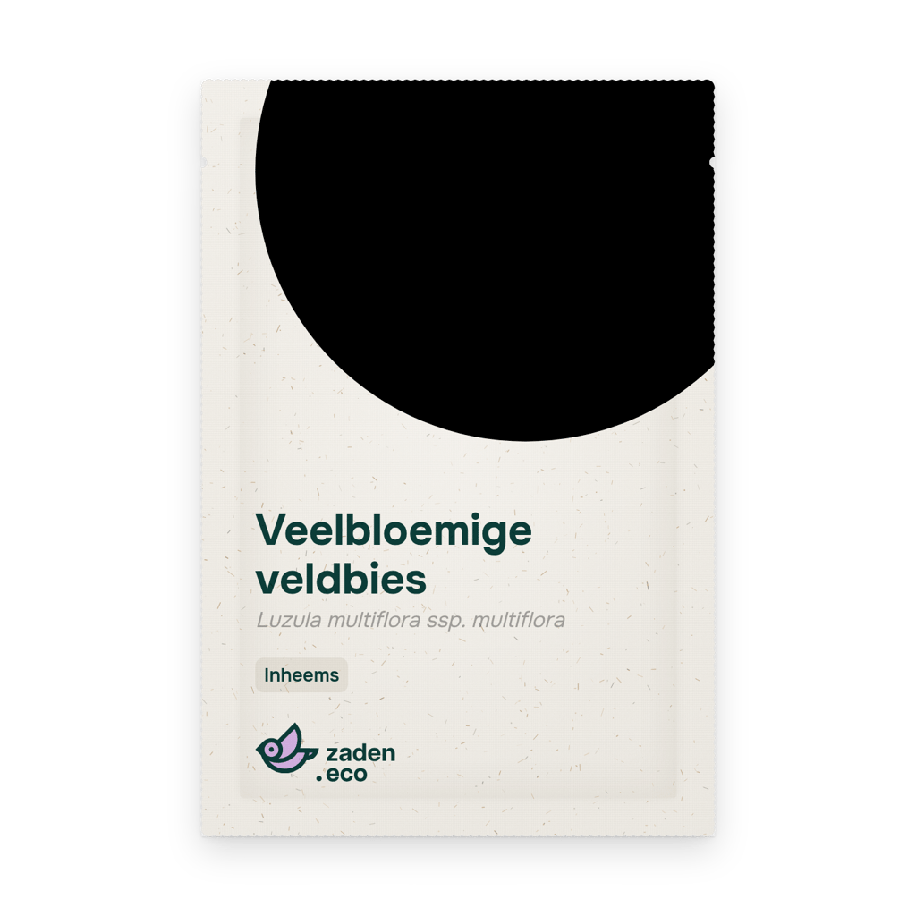 Zakje Veelbloemige veldbies