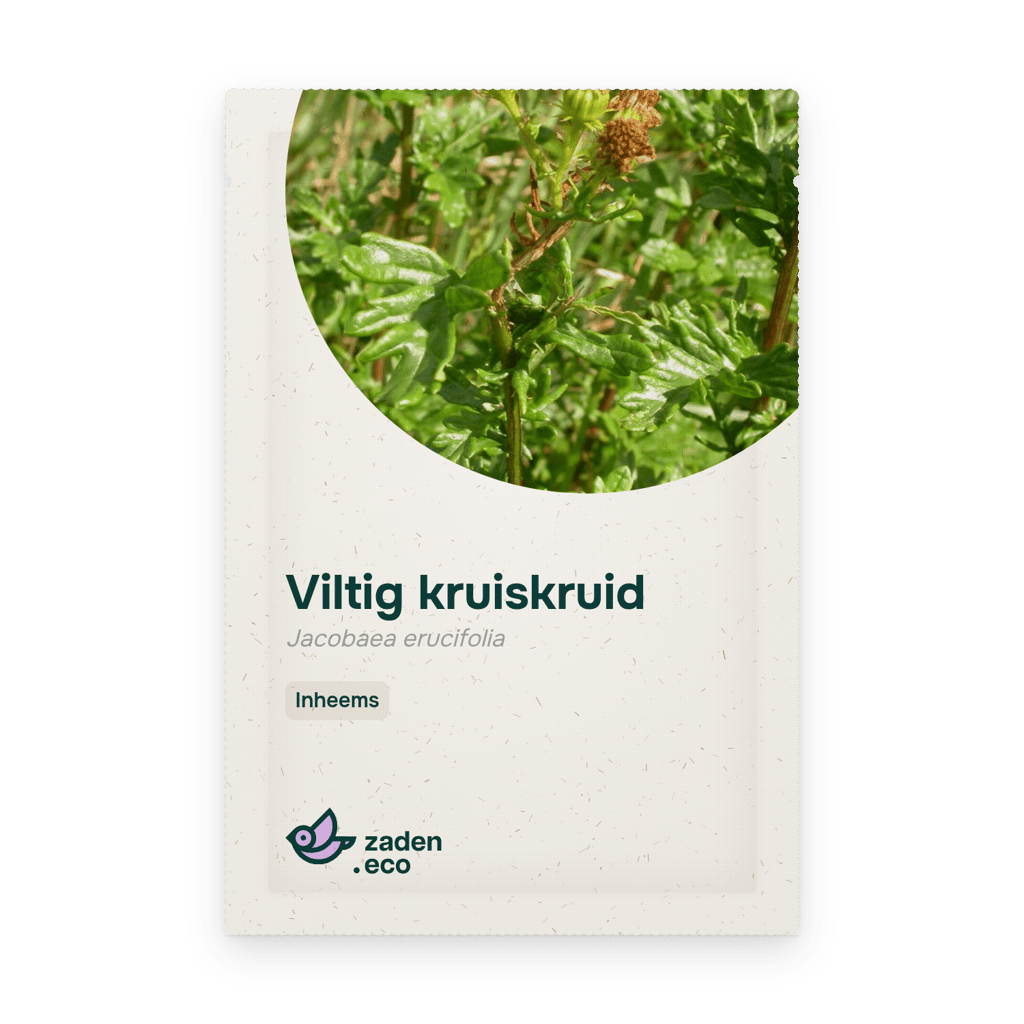 Zakje Viltig kruiskruid