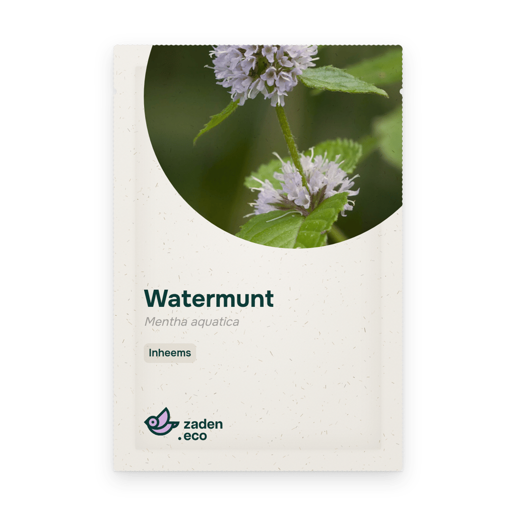 Zakje Watermunt