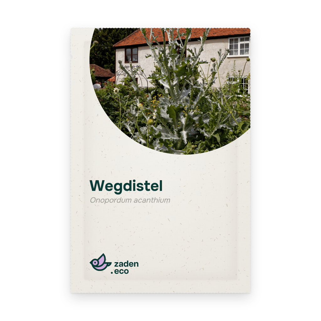 Zakje Wegdistel