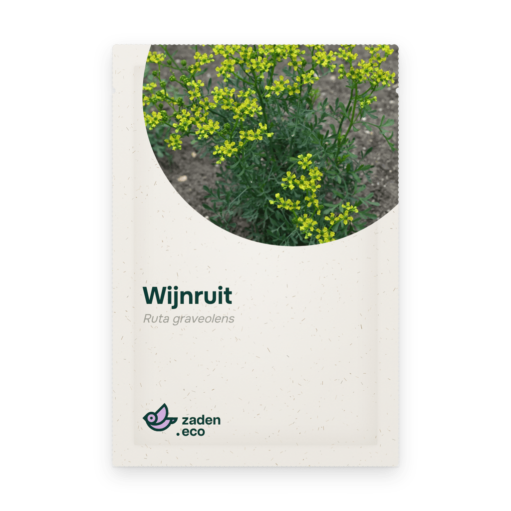 Zakje Wijnruit