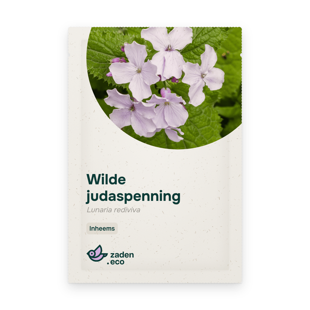 Zakje Wilde judaspenning