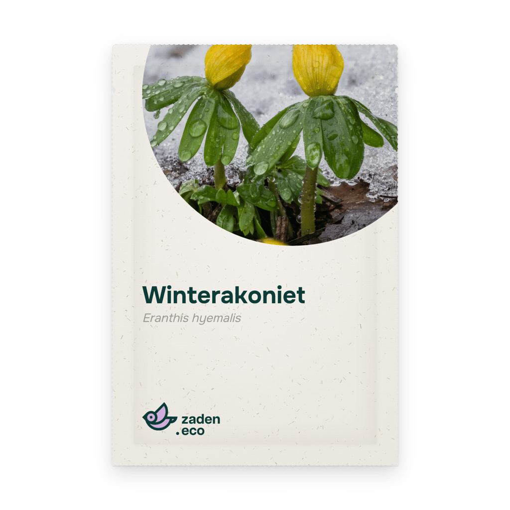 Zakje Winterakoniet