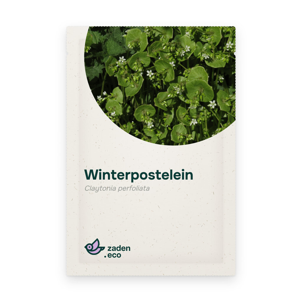 Zakje Winterpostelein