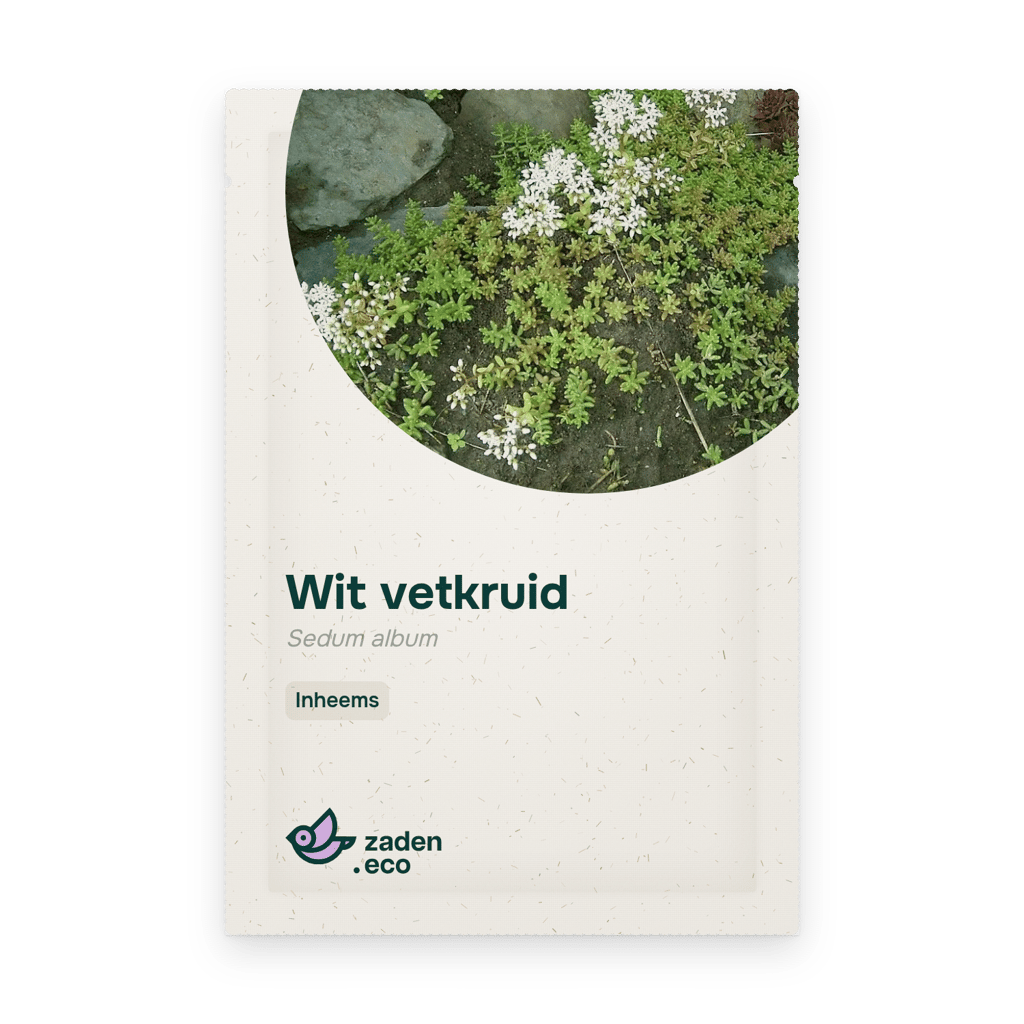 Zakje Wit vetkruid