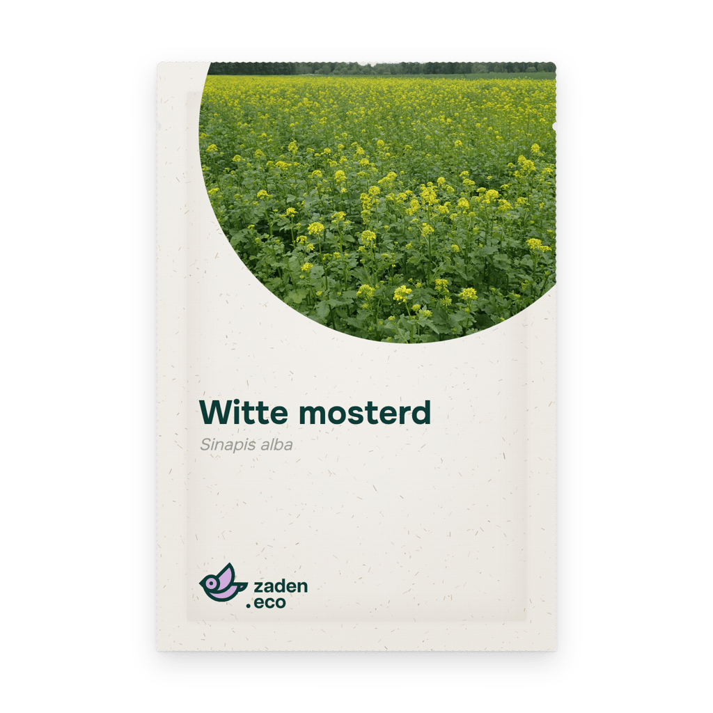 Zakje Witte mosterd