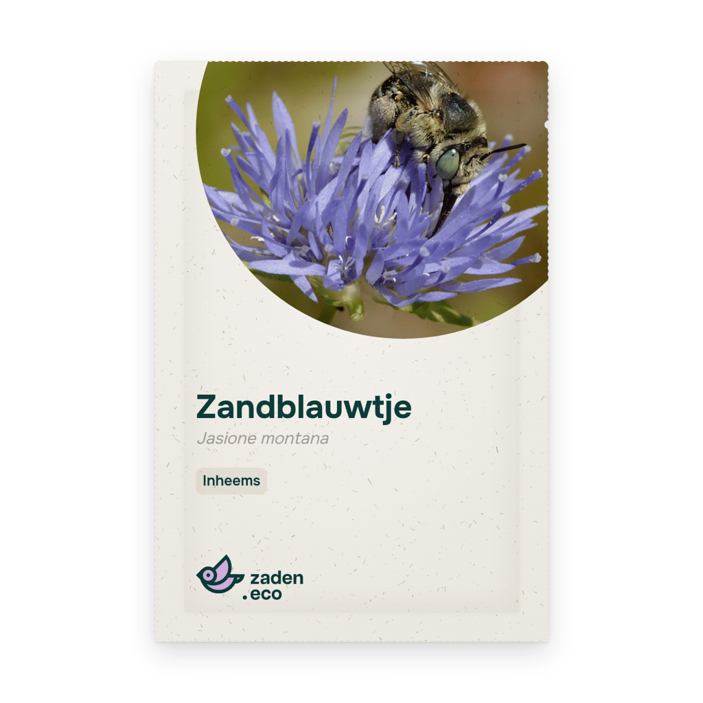 Zakje Zandblauwtje