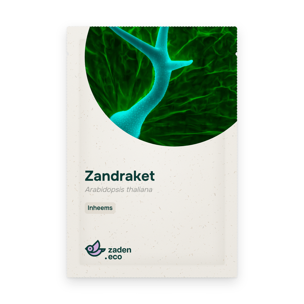 Zakje Zandraket