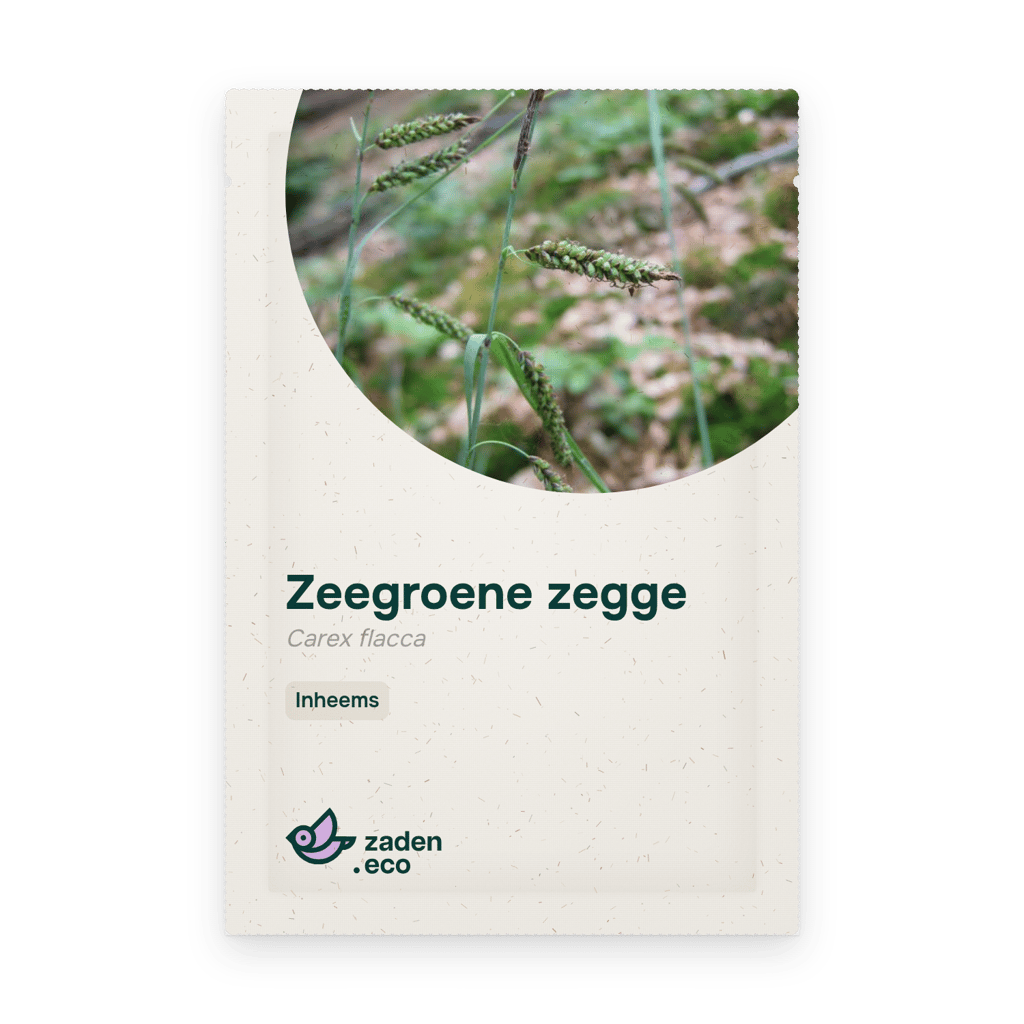 Zakje Zeegroene zegge