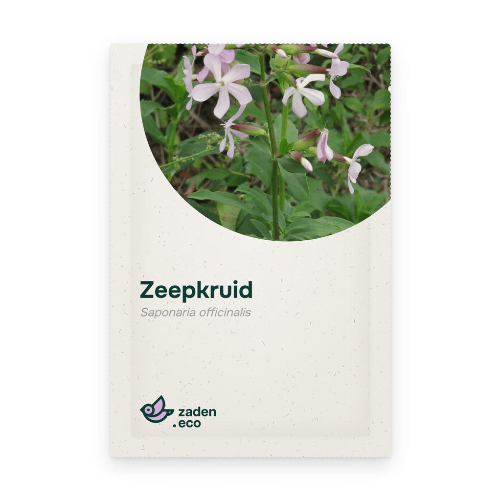 Zakje Zeepkruid
