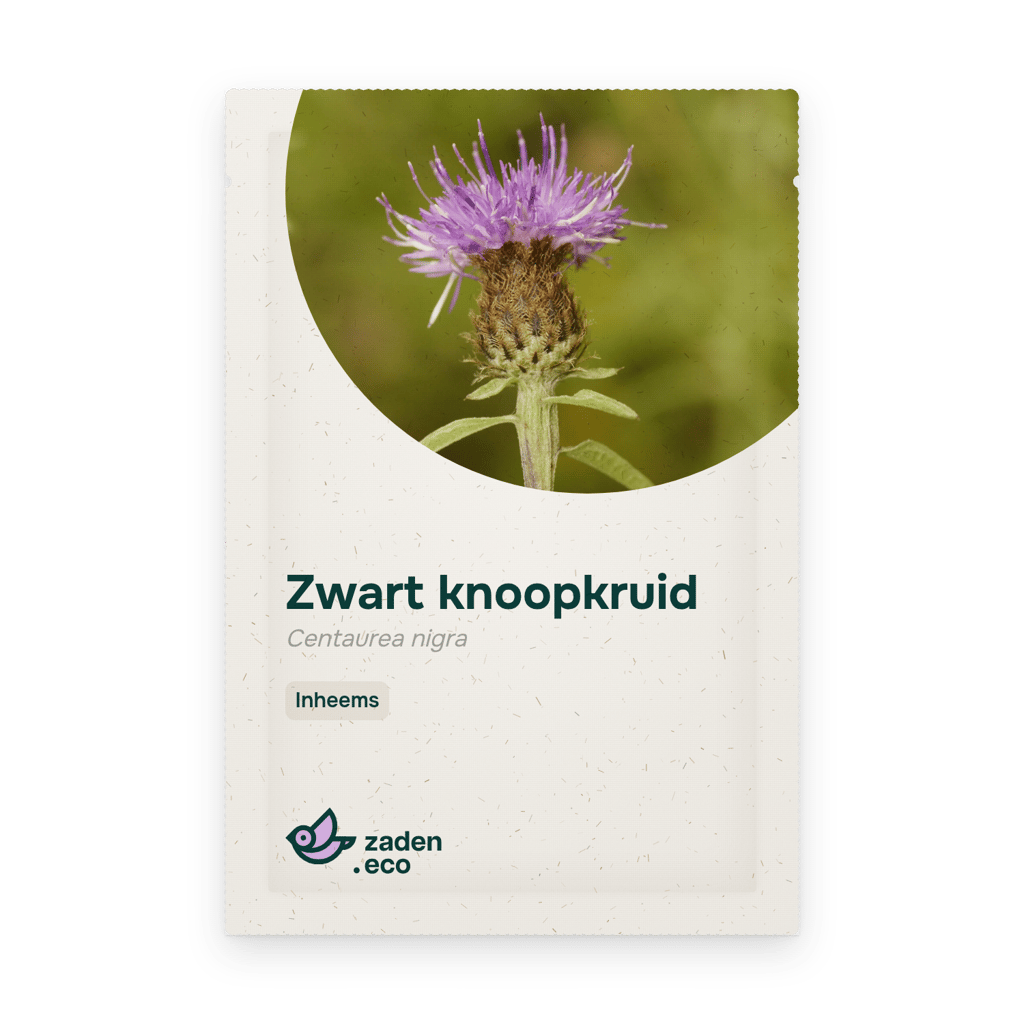 Zakje Zwart knoopkruid