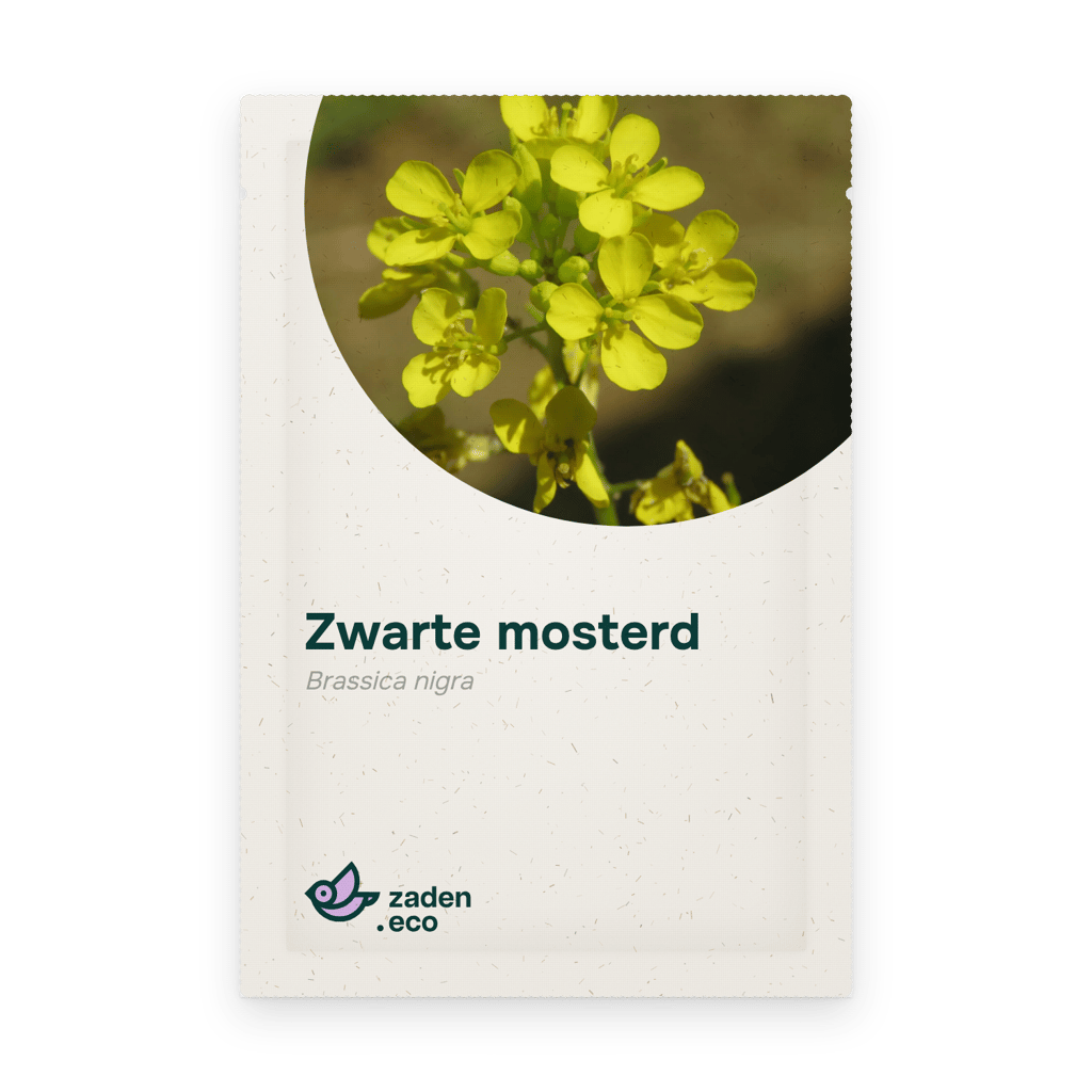 Zakje Zwarte mosterd