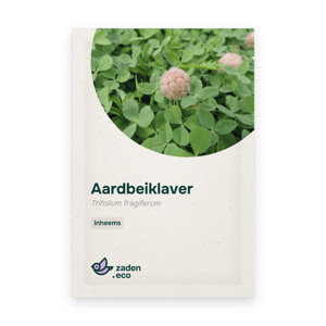 Zakje Aardbeiklaver