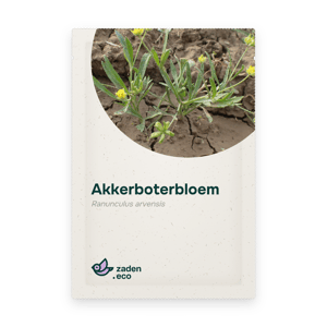 Zakje Akkerboterbloem
