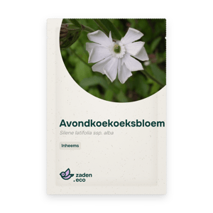 Zakje Avondkoekoeksbloem
