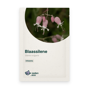 Zakje Blaassilene