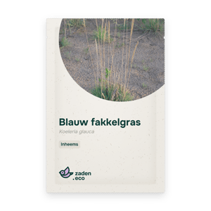 Zakje Blauw fakkelgras