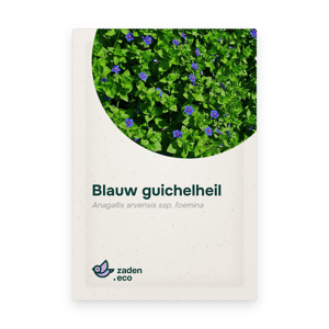 Zakje Blauw guichelheil