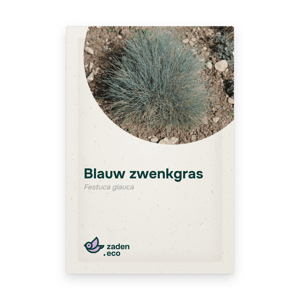 Zakje Blauw zwenkgras