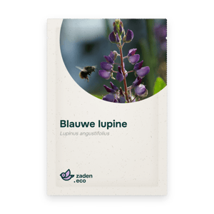 Zakje Blauwe lupine