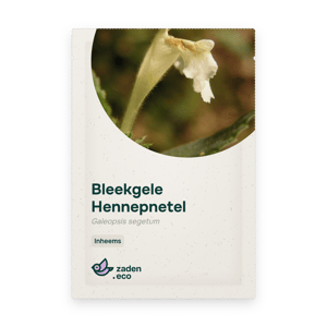 Zakje Bleekgele Hennepnetel
