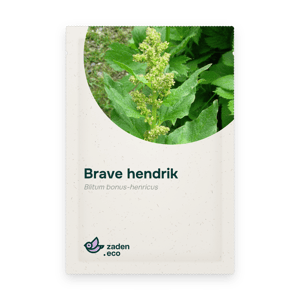 Zakje Brave hendrik