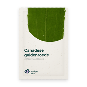 Zakje Canadese guldenroede